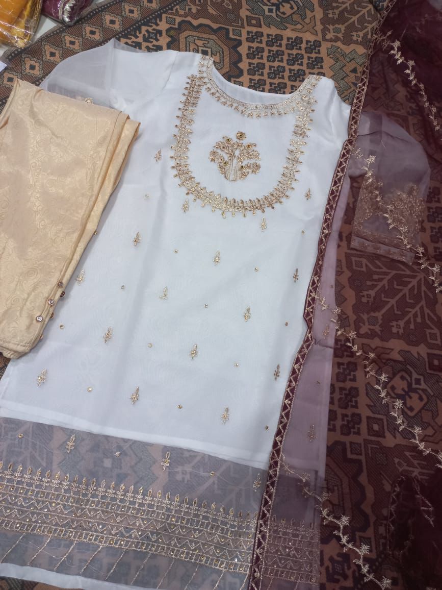 3-Piece Embroidered Organza Outfit with Handwork – Medium Size