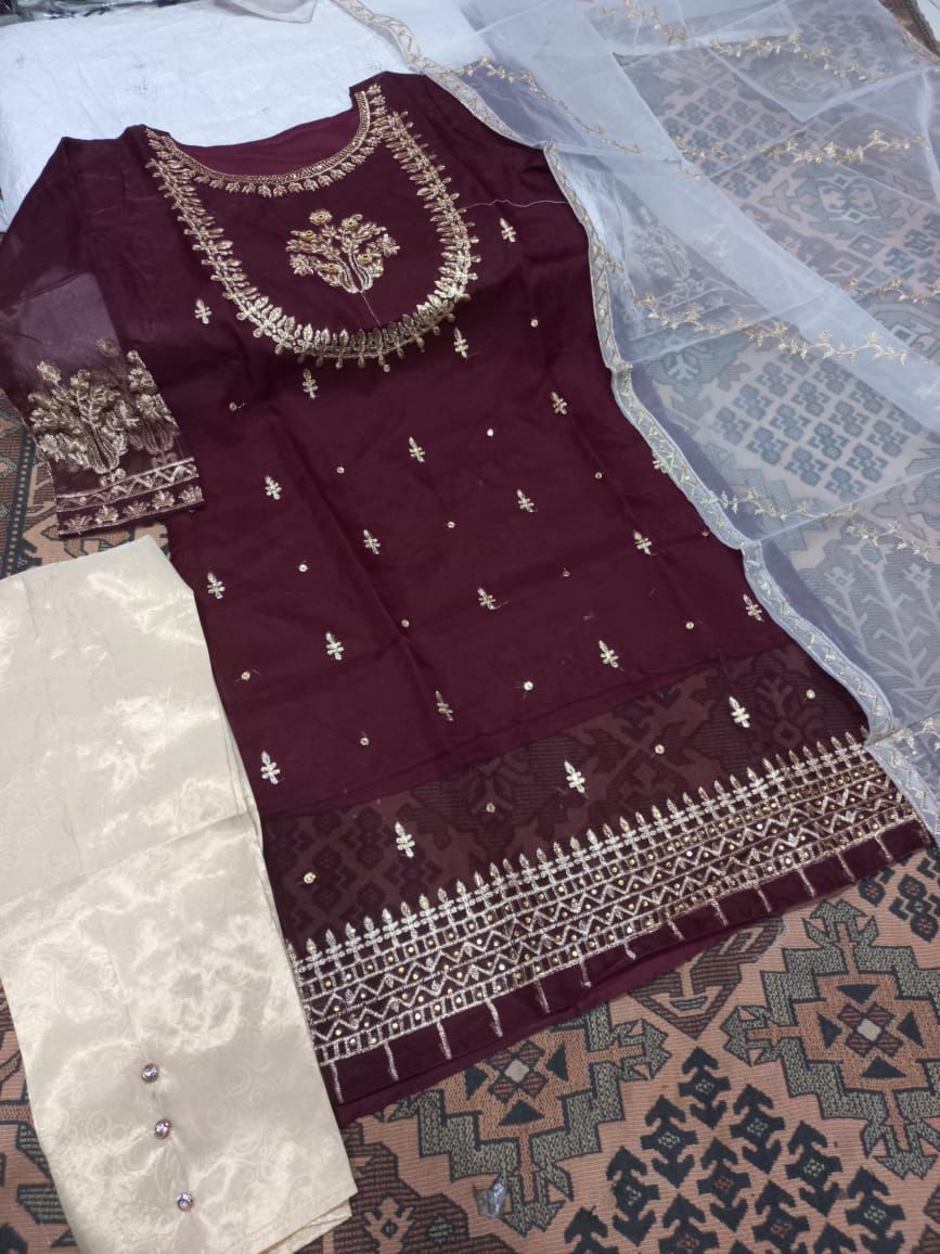 3-Piece Embroidered Organza Outfit with Handwork – Medium Size